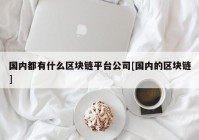 国内都有什么区块链平台公司[国内的区块链]